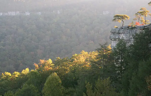 Photo of Mountain Top Morning