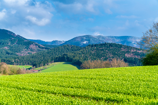Germany, Schwarzwald nature landscape panorama view with snow covered mountain tops in springtime at sunset, a beautiful tourism destination for hiking