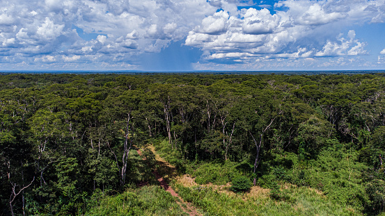 Aerial view of degraded area a rainforest in Brazil