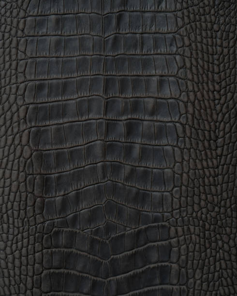 istock crocodile skin texture 1399585819