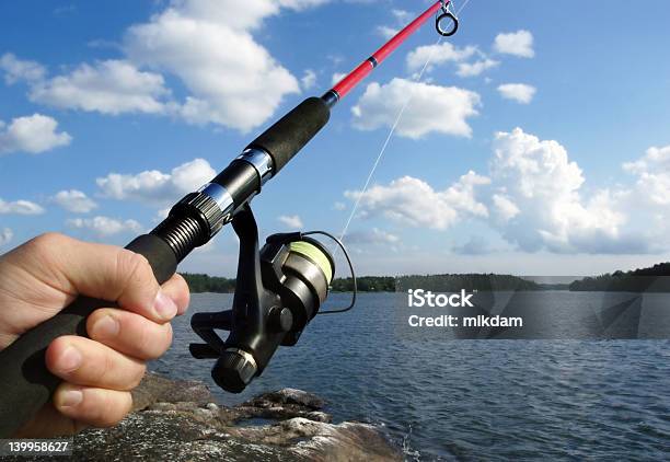 Fishing Stock Photo - Download Image Now - Adult, Casting, Catch of Fish