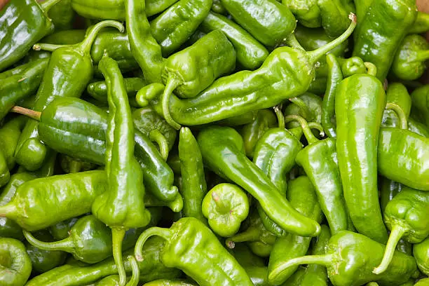 a basket of green chili peppers from farmers market