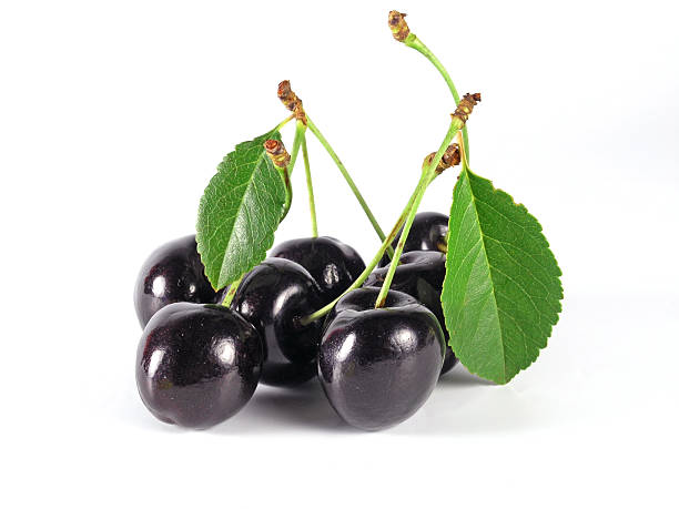 im sommer: black cherry - black cherries stock-fotos und bilder