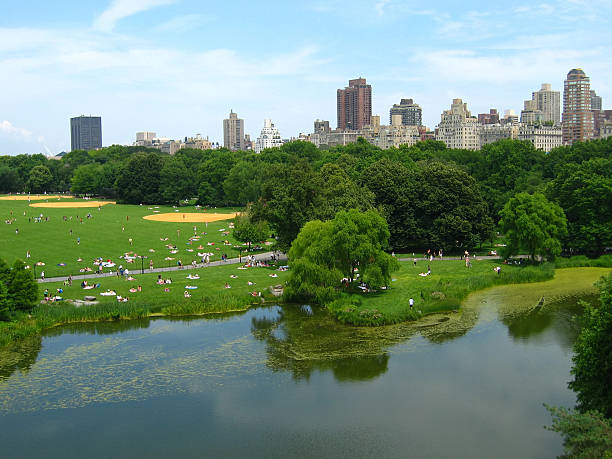 Great Lawn Central Park Stock Photos, Pictures & Royalty-Free Images ...
