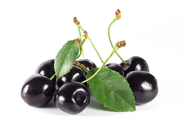im sommer: black cherry - black cherries stock-fotos und bilder