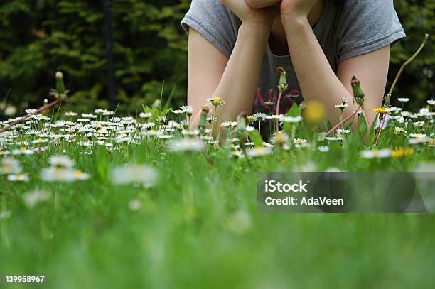 El Verano Foto de stock y más banco de imágenes de Acostado - Acostado, Aire libre, Arbusto