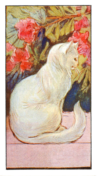 Art Nouveau is an international style of art, architecture, and applied art, especially the decorative arts, known in different languages by different names: Jugendstil in German, Stile Liberty in Italian, Modernisme català in Catalan, etc. In English it is also known as the Modern Style. The style was most popular between 1890 and 1910 during the Belle Époque period that ended with the start of World War I in 1914.
Original edition from my own archives
Source : Stollwerck 1899 Sammelalbum 3