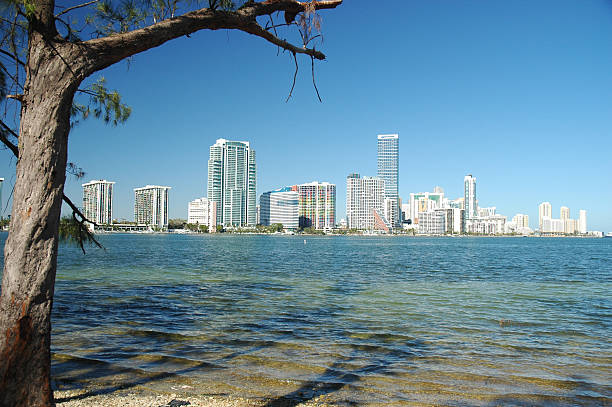 Condos on Key Biscayne stock photo