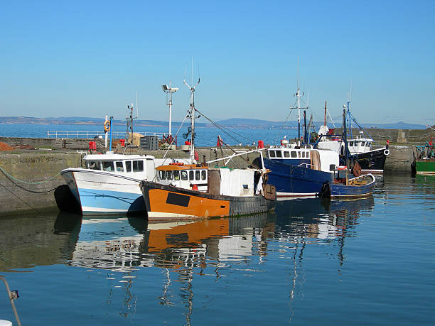 istock Fishing boats in harbour 139959713