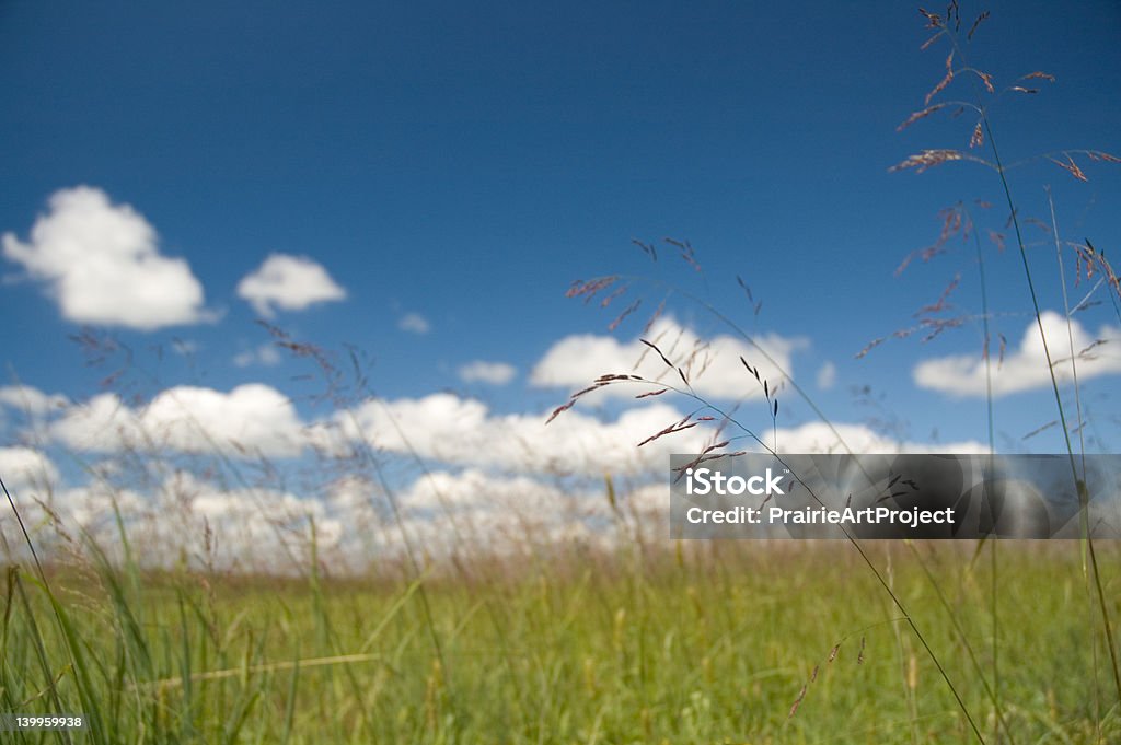 - Landschaft - Lizenzfrei Horizontal Stock-Foto