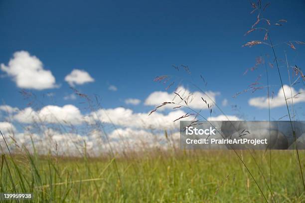 Panorama Di Prateria - Fotografie stock e altre immagini di Composizione orizzontale - Composizione orizzontale, Nebraska, Ambientazione esterna