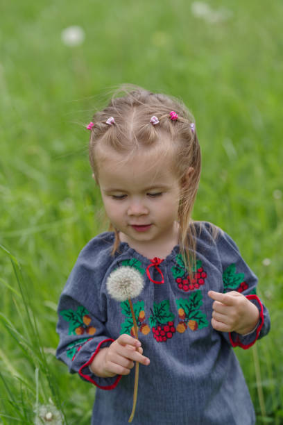 istock Little girl picking dandelion in meadow 1399599706