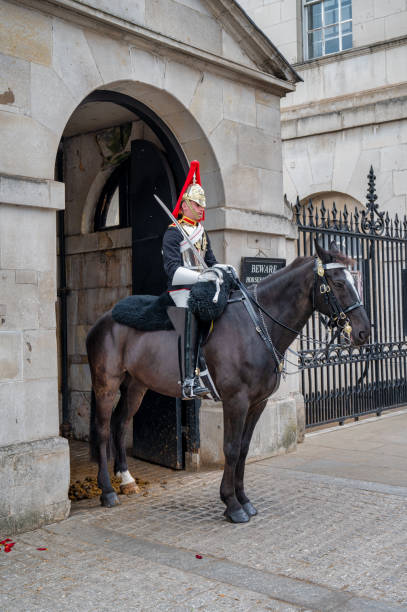 les life guards à londres - household cavalry photos et images de collection