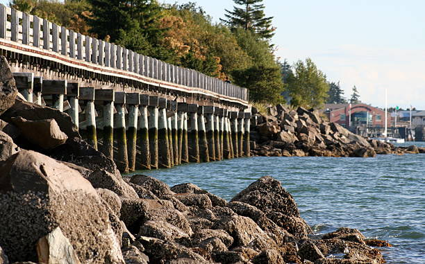 Bellingham Boardwalk – zdjęcie