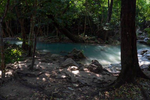 istock The stream in the forest looks shady 1399603372