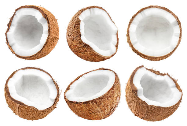 istock Coconut halves collection on white 1399604001