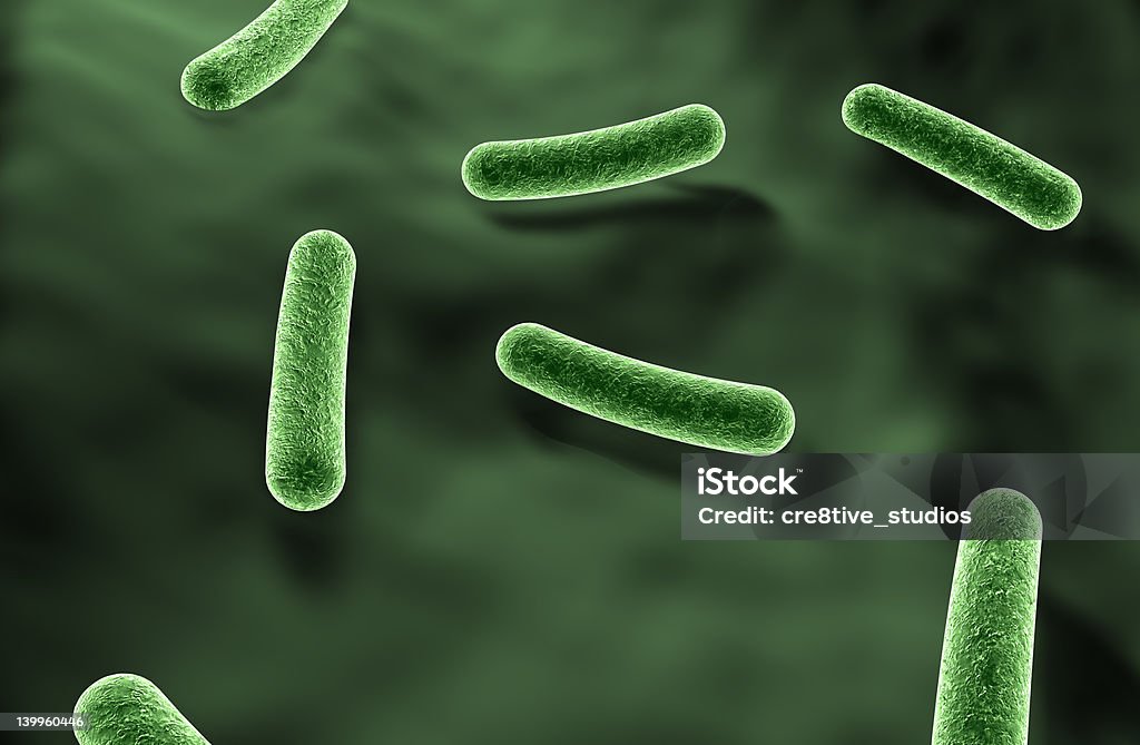 Бактерии - Стоковые фото Артерия роялти-фри