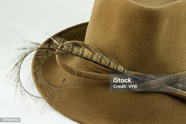 Ladys Felt Hat Closeup Stock Photo - Download Image Now - Adult, Brown, Classical Theater