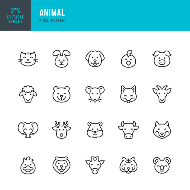 tier - linienvektor-symbol-set. pixel perfekt. bearbeitbarer strich. das set enthält eine katze, einen hund, eine maus, eine ratte, einen hamster, ein kaninchen, eine ente, ein huhn, ein schaf, eine ziege, ein schwein, eine kuh, einen fuchs, einen wolf, e - tierkopf stock-grafiken, -clipart, -cartoons und -symbole