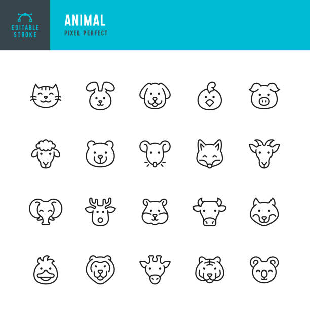 bildbanksillustrationer, clip art samt tecknat material och ikoner med animal - line vector icon set. pixel perfect. editable stroke. the set includes a cat, dog, mouse, rat, hamster, rabbit, duck, chicken, sheep, goat, pig, cow, fox, wolf, bear, koala, deer, giraffe, elephant, tiger, lion. - djurhuvud