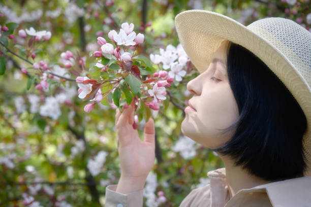 beautiful young woman in sunhat near cherry blossoms close up portrait
