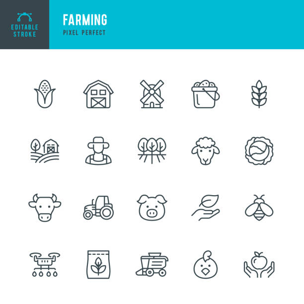 farming - zestaw ikon wektora liniowego. piksel idealny. edytowalny obrys. zestaw zawiera gospodarstwo, rolnika, pole uprawne, bydło domowe, krowę, świnię, jagnięcinę, kurczaka, pszczołę, wiatrak, pszenicę, kukurydzę, kapustę, ogród, dron, cią - agriculture stock illustrations