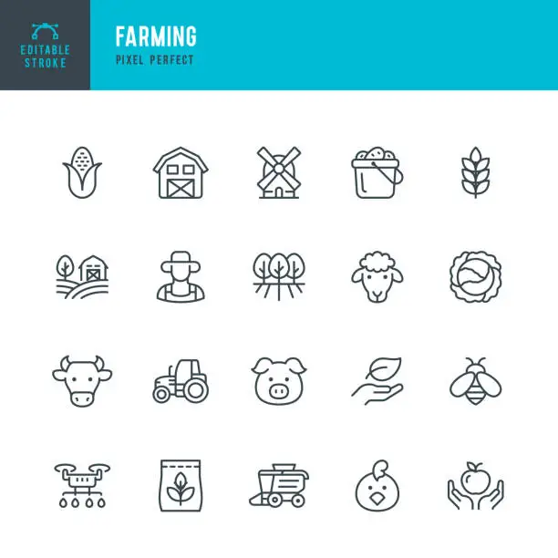 Vector illustration of Farming - line vector icon set. Pixel perfect. Editable stroke. The set includes a Farm, Farmer, Agricultural Field, Domestic Cattle, Cow, Pig, Lamb, Chicken, Bee, Windmill, Wheat, Corn, Cabbage, Garden, Drone, Tractor, Combine Harvester, Harvesting