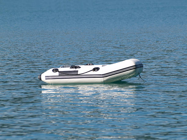 istock White Zodiac at a Lake 139961109