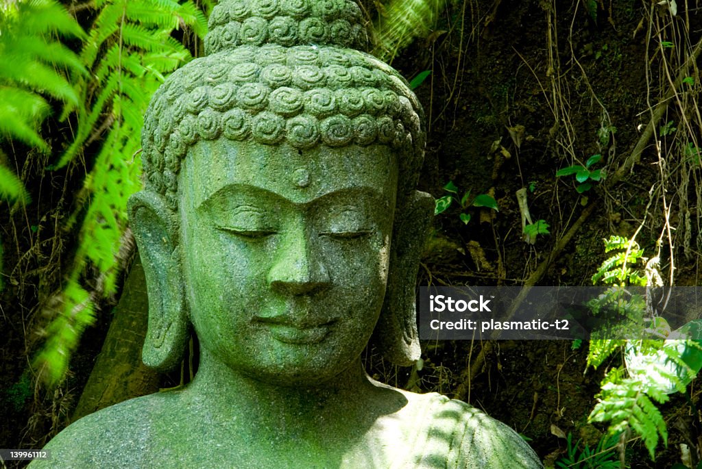 statue 26 buddhist statue in botanic garden Ancient Stock Photo