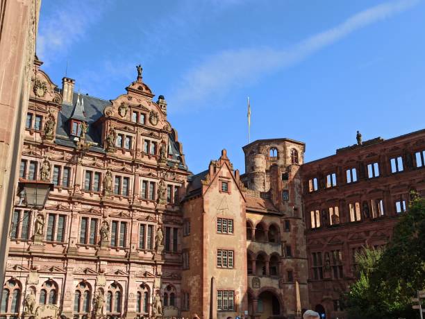 Insider of the Castle