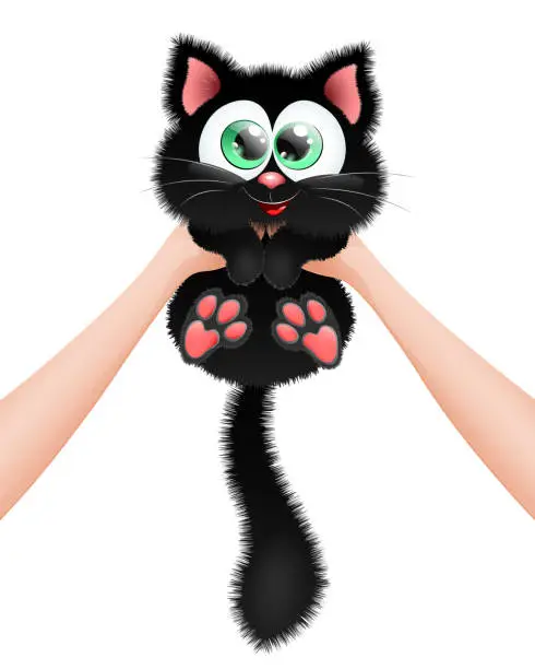 Vector illustration of Black Cat in hands