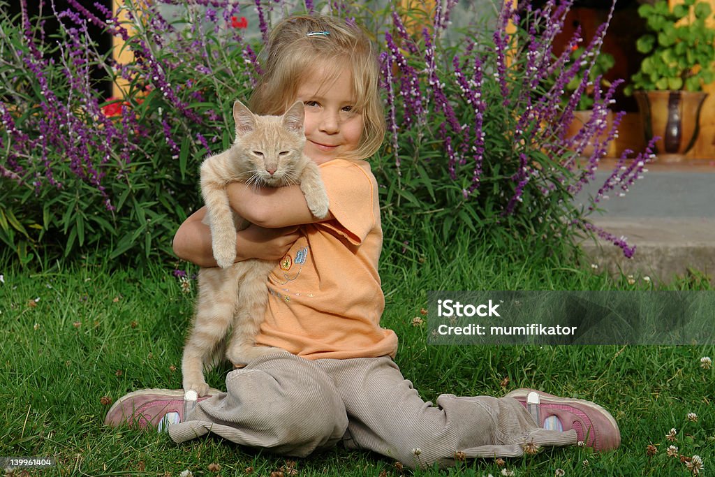 girl with a cat the girl with a cat Animal Stock Photo