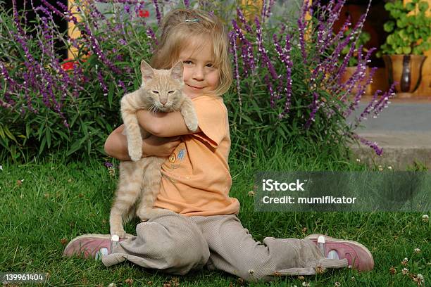 Girl With A Cat Stock Photo - Download Image Now - Animal, Animal Body Part, Animal Nose