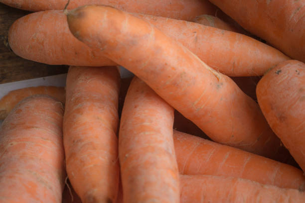 Carrot is rich in beta carotene