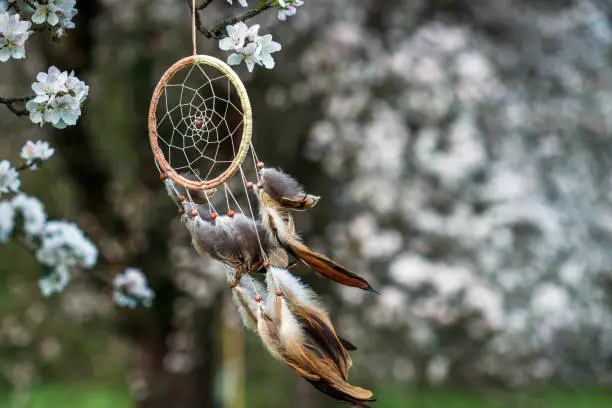 Dreamcatcher hanging on blooming tree in wind at springtime. Spirituality and ritual amulet for good dreaming