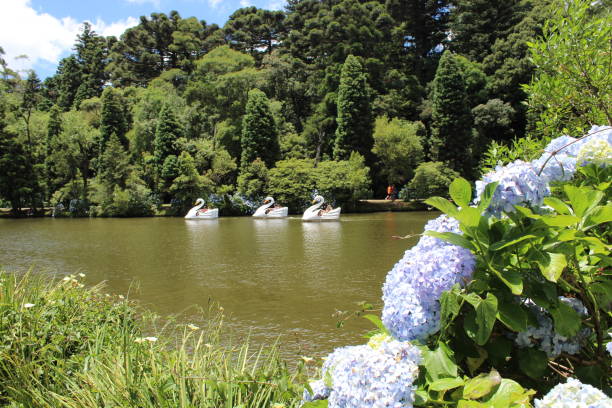 istock Park of Gramado 1399619376