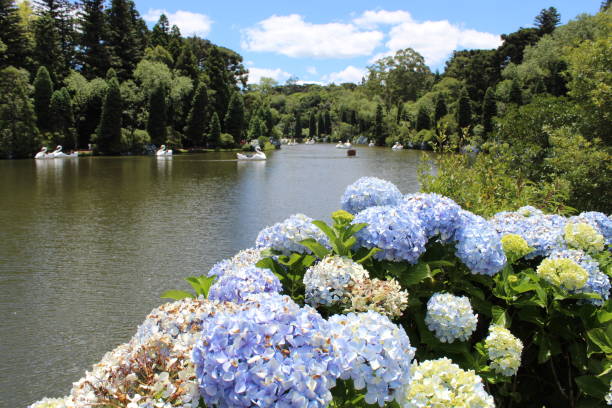 istock Flowers and lake 1399619409