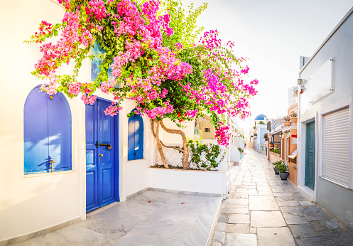 street of Oia, view of traditional white greek village of Santorini, Greece