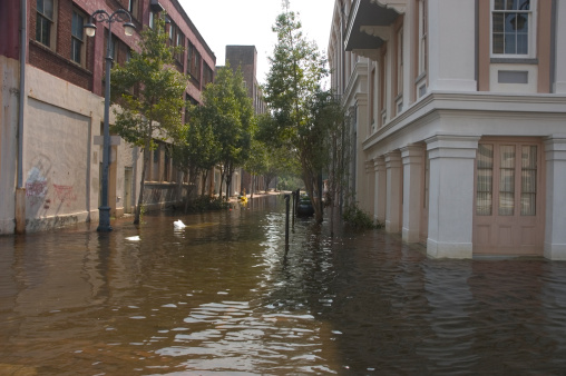 One of the less flooded steets in downtown New Orleans after Hurricane Katrina.