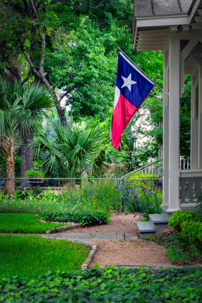 San Antonio Lonestar Flag 2 stock photo