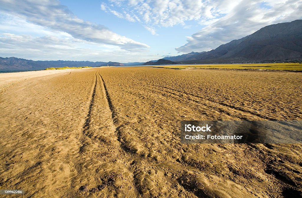 Muddy faixas - Foto de stock de Baía royalty-free