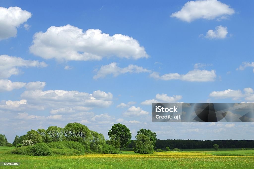 Frühling Landschaft - Lizenzfrei Agrarbetrieb Stock-Foto