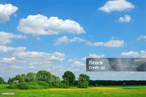 Frühling Landschaft Stockfoto und mehr Bilder von Agrarbetrieb - Agrarbetrieb, August, Baum
