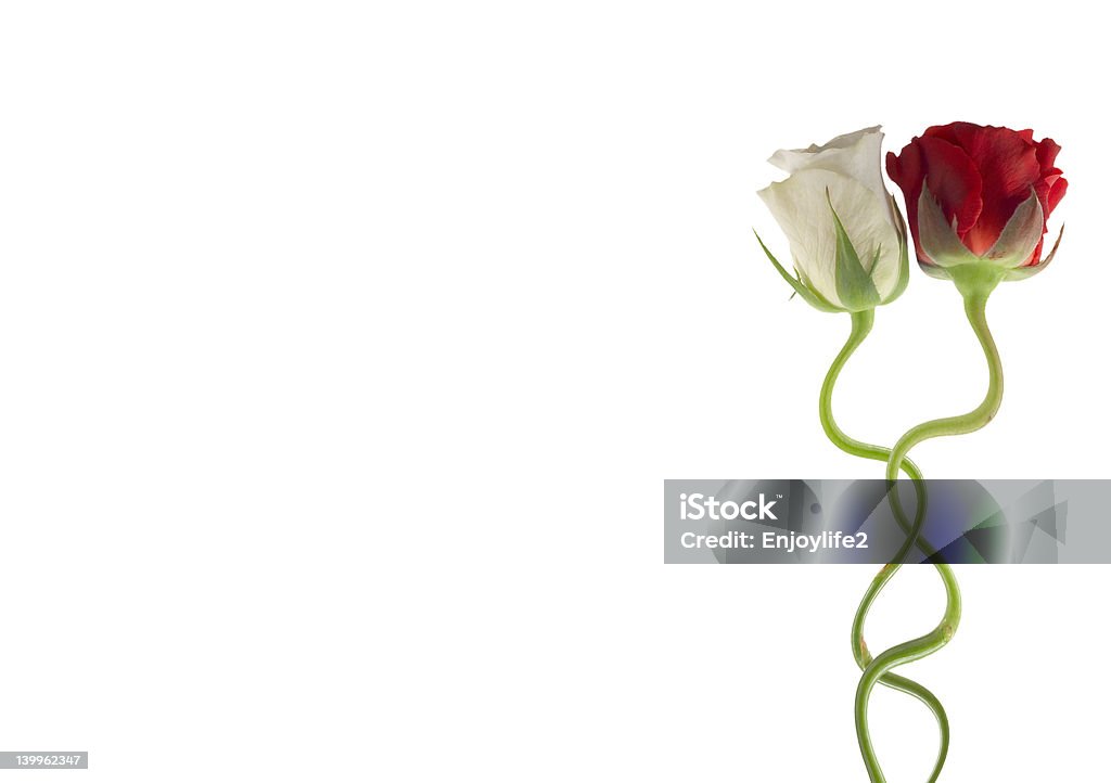 Love y rosas - Foto de stock de Abstracto libre de derechos