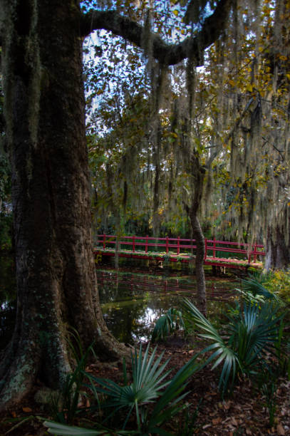 istock Garden Bridge over Lake 1399623659