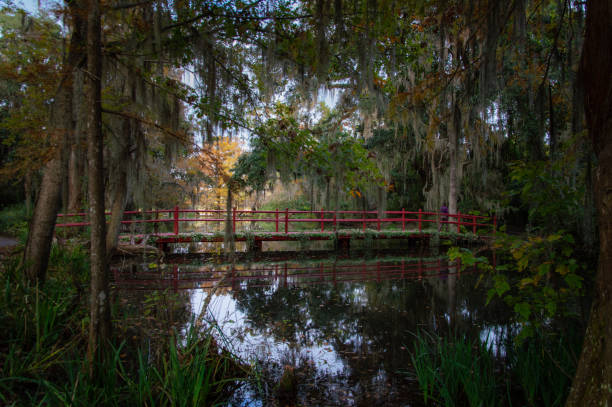 istock Garden Bridge over Lake 1399623661