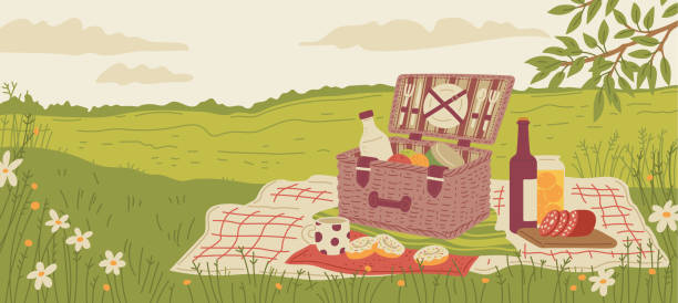 Picnic basket with food and wine on summer background flat vector illustration. Picnic basket with food and wine on summer meadow background, hand drawn flat vector illustration. Summer picnic banner layout. Food and pastime objects in landscape. picnic stock illustrations