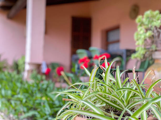 istock Simple need: exterior house portrait 1399624132