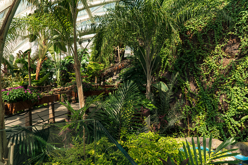 Konya, Turkey - May 13 , 2022: Konya Tropical Butterfly Garden and museum in Selcuklu, Konya, Turkey.