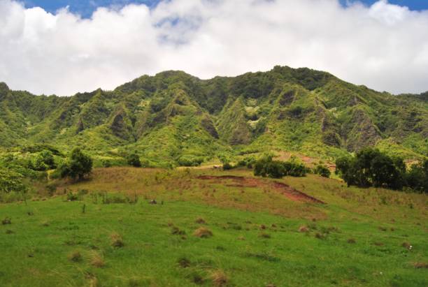 istock Lost Movie tour site Hawaii 1399628955